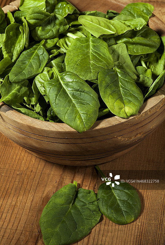菠菜图片素材