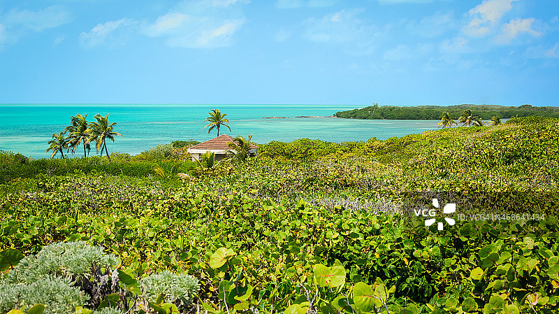 热带天堂图片素材