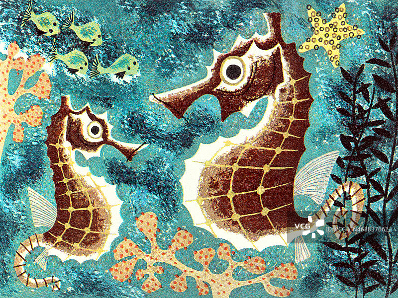 水族馆里的海马图片素材