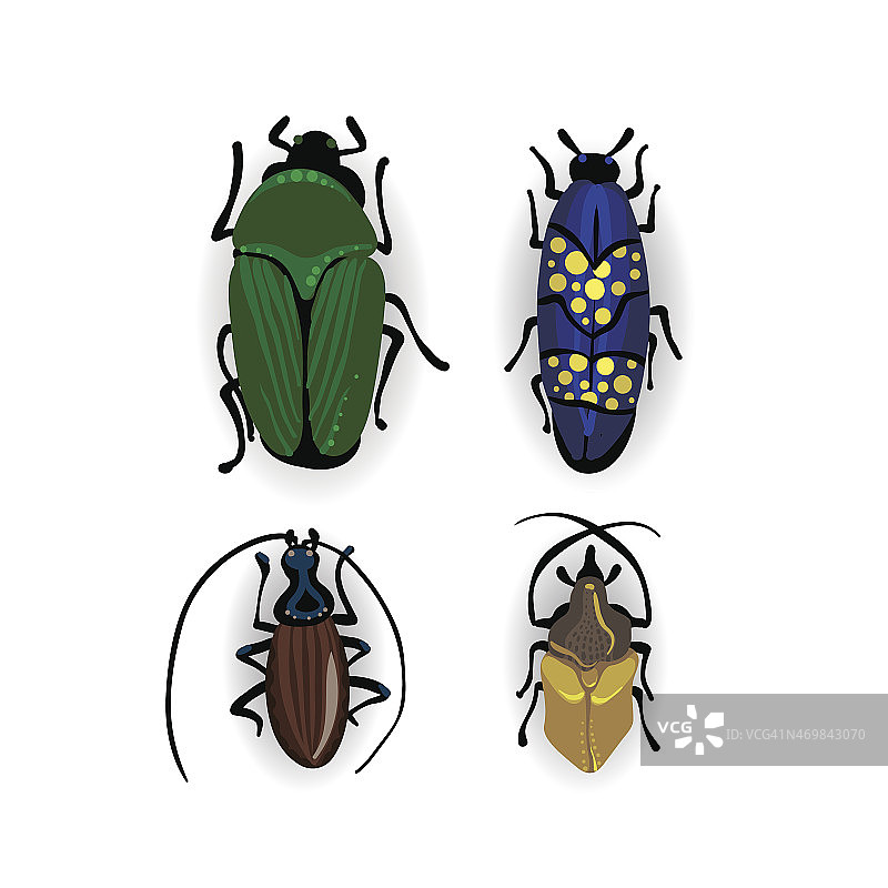 彩色小甲虫矢量图图片素材
