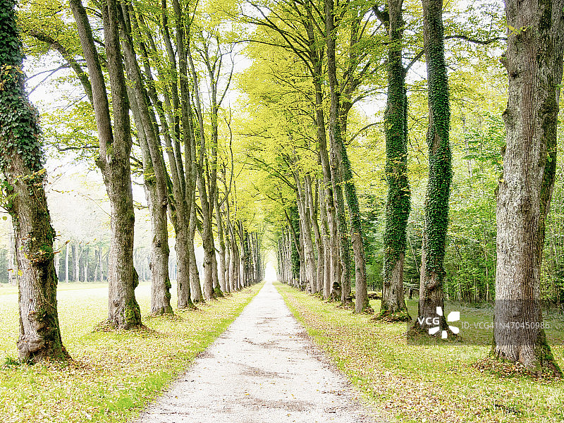 公园小巷图片素材