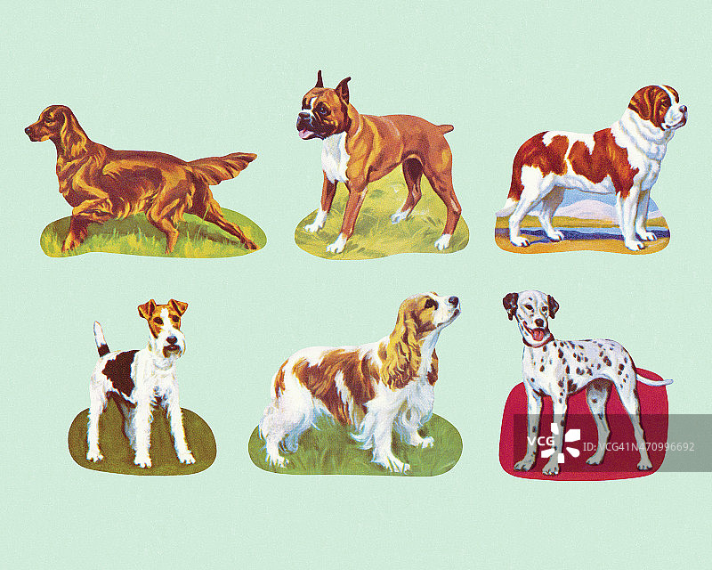 各种品种的狗图片素材