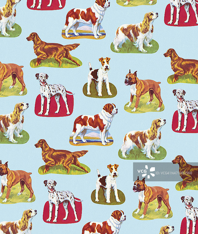 各种品种的狗图片素材