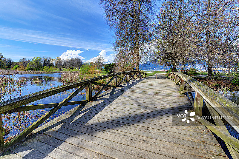 春天的木桥图片素材