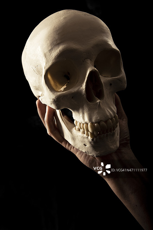 手拿骷髅头图片素材