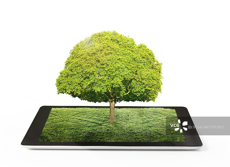 平板电脑和树图片素材