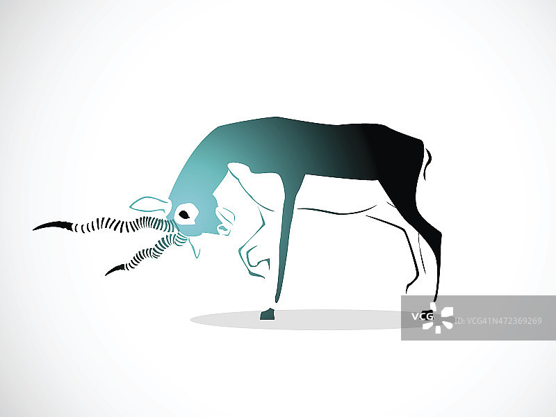 黑斑羚图片素材