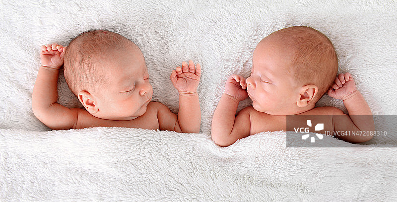 新生双胞胎图片素材