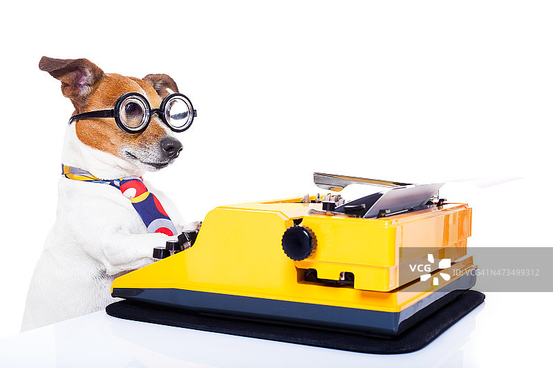 秘书打字机和狗图片素材