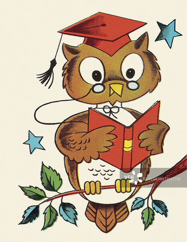 智慧猫头鹰图片素材