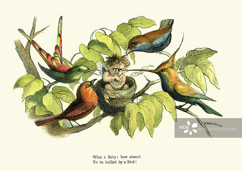 被鸟欺负的公主图片素材