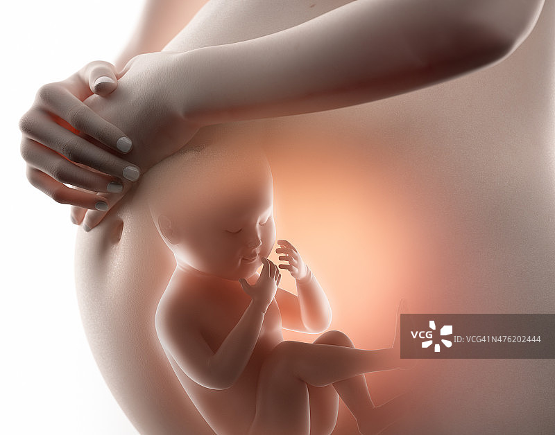 孕期概念与婴儿图片素材