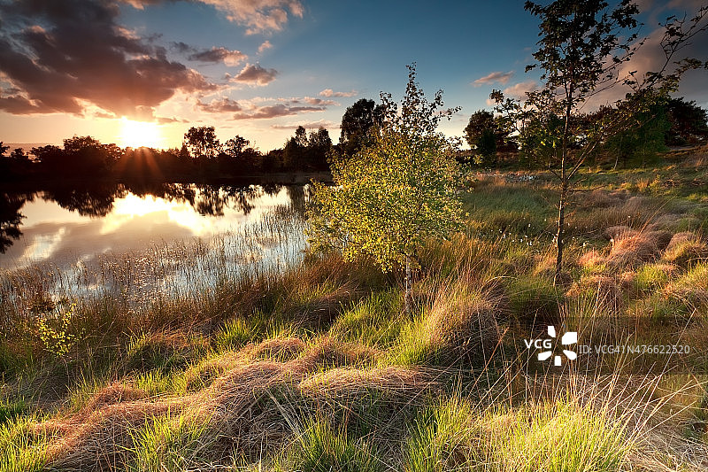 野生湖泊上的美丽日落图片素材