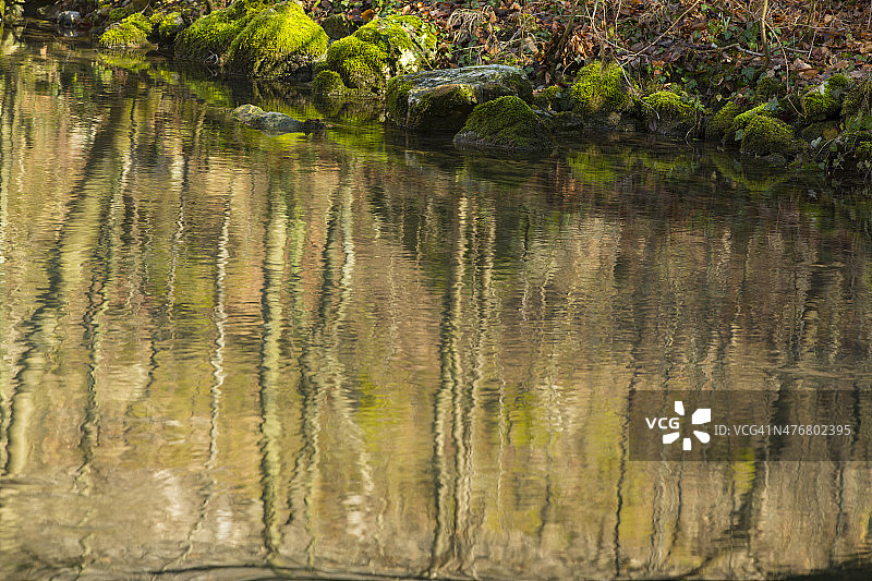 森林中美丽的溪流图片素材