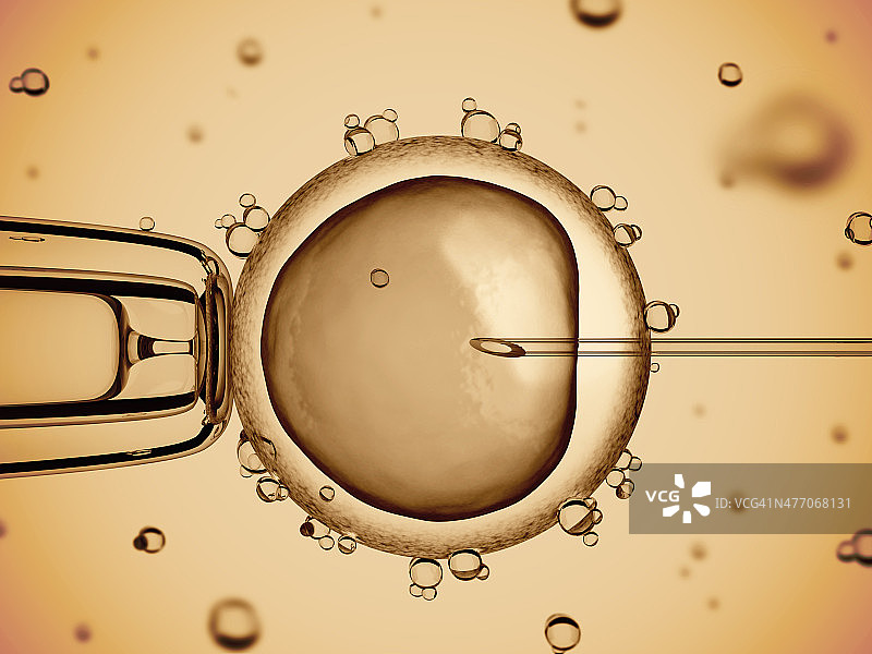 人工授精图片素材