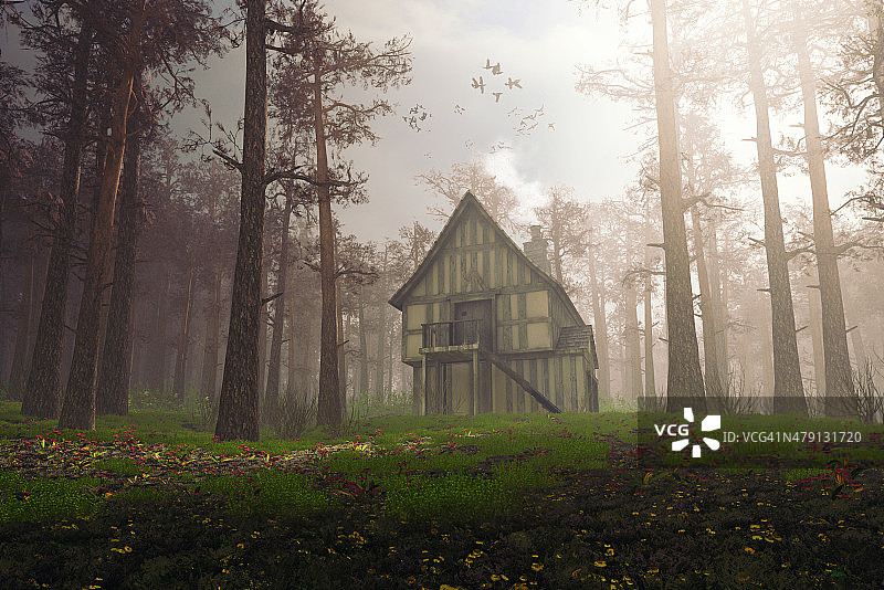 黑暗森林中童话般的木屋图片素材