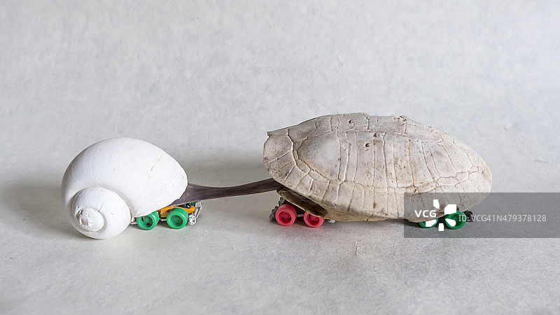 动物大篷车图片素材