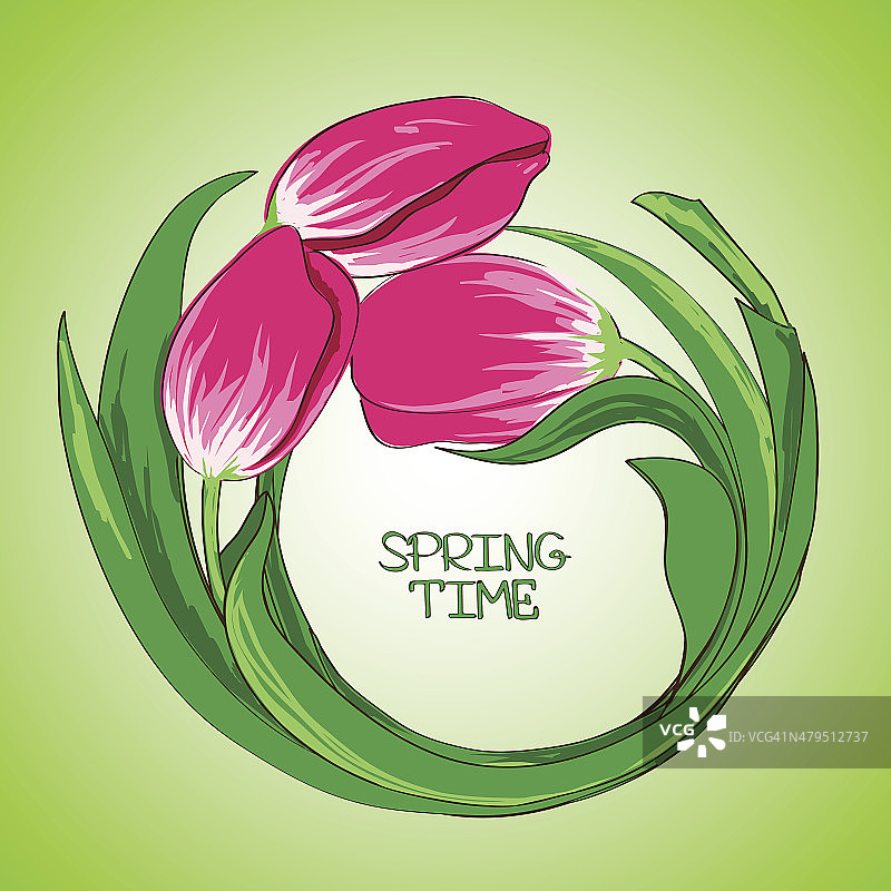 郁金香花朵插画图片素材