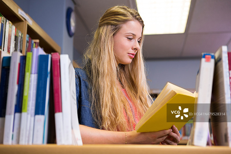 漂亮的女学生在图书馆学习图片素材