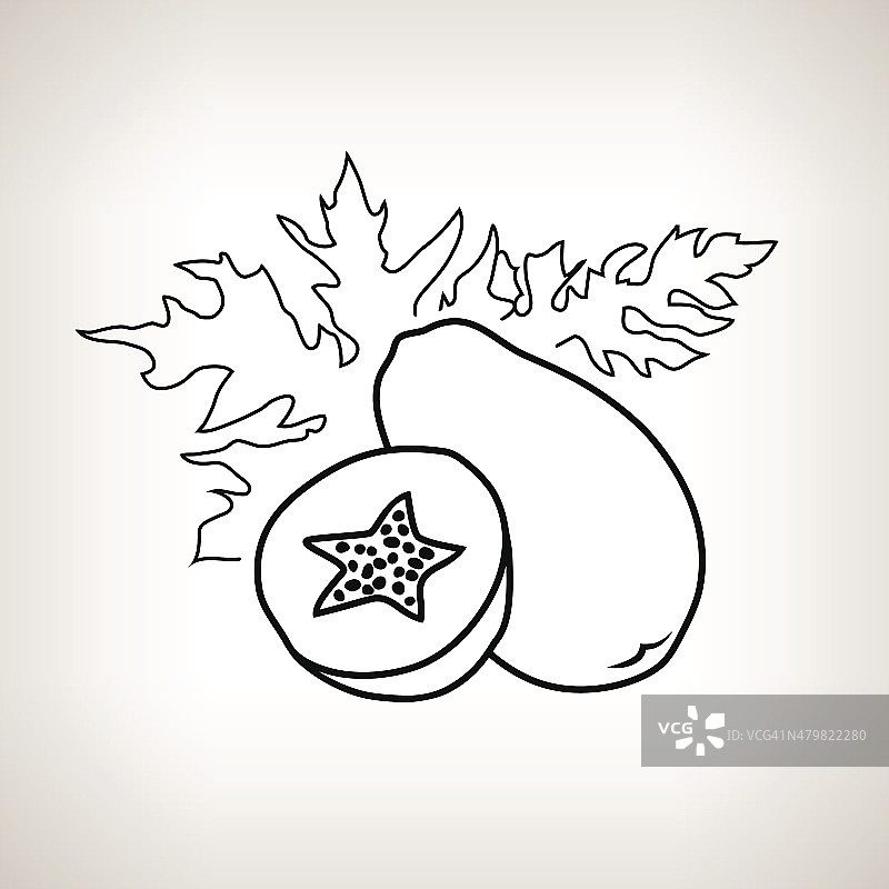 木瓜轮廓图图片素材
