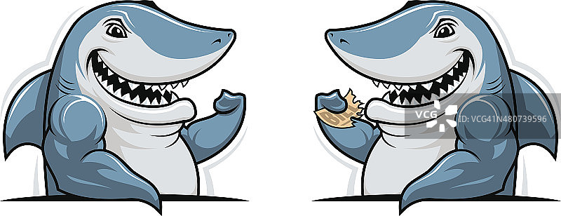 有趣的鲨鱼图片素材