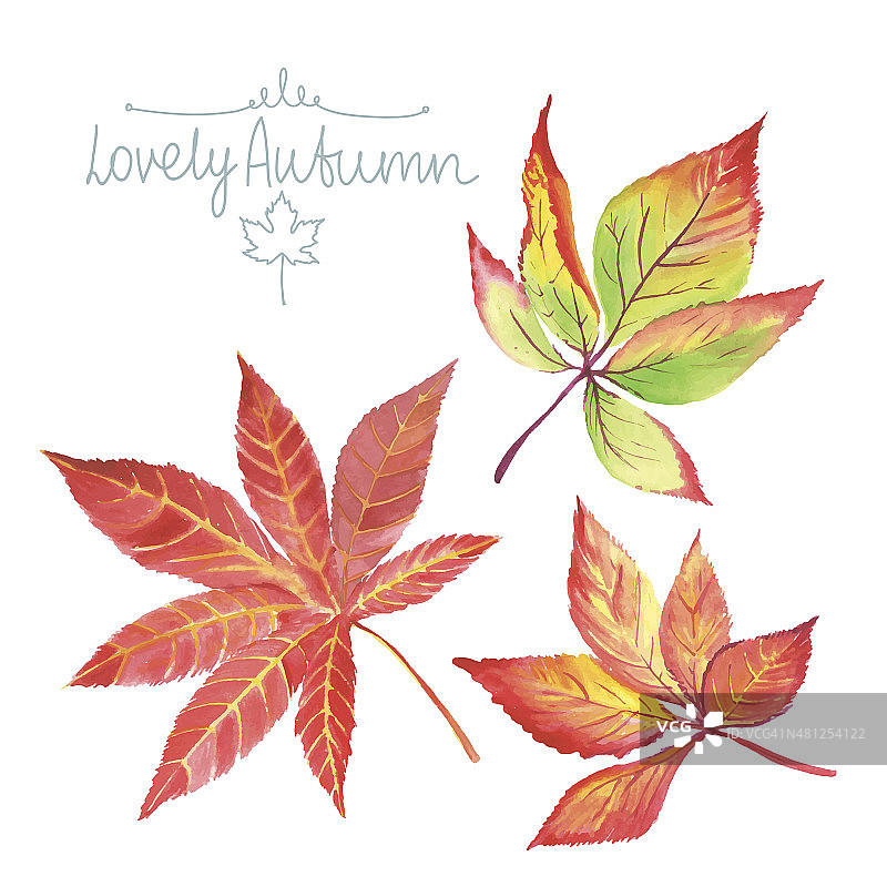 水彩秋叶图片素材