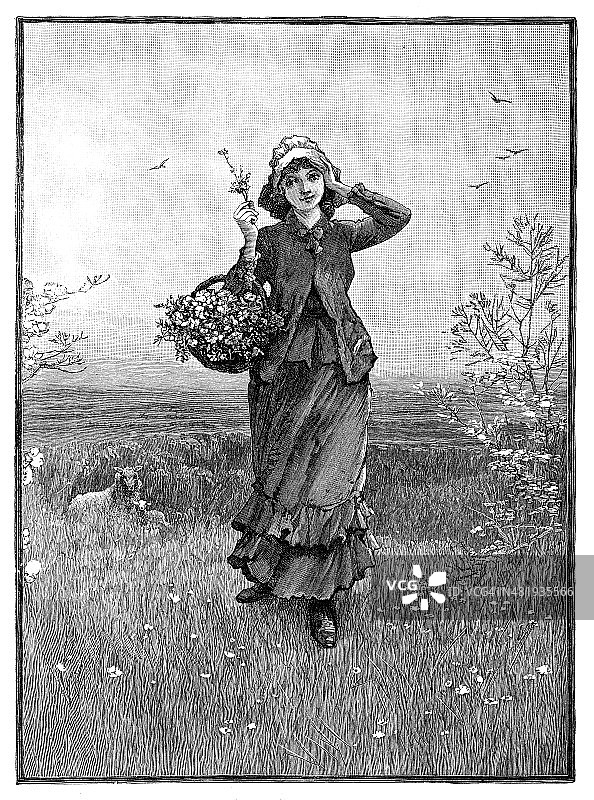 采摘鲜花图片素材