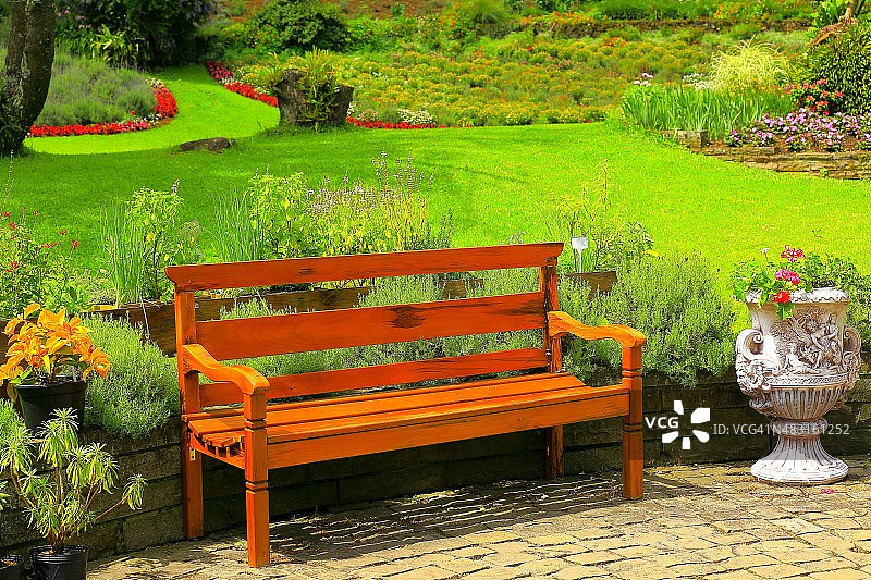 巴西格拉玛多田园薰衣草花园中的木制长椅图片素材