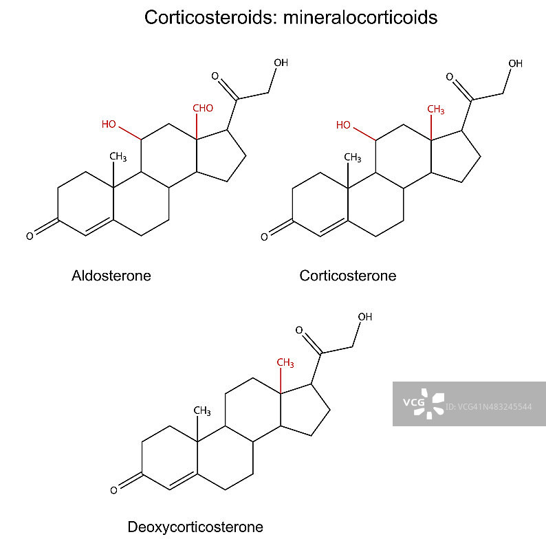 皮质类固醇的结构化学式-盐皮质激素图片素材