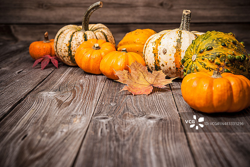 秋季静物：南瓜和树叶图片素材