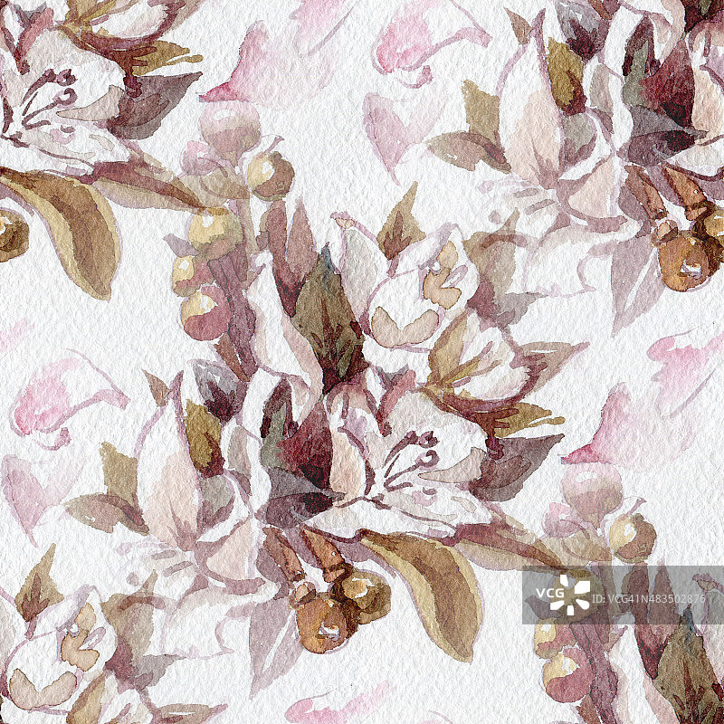 水彩花图片素材