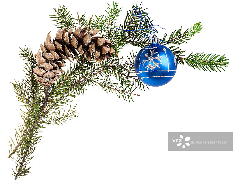 带锥果和蓝色球的云杉树枝图片素材