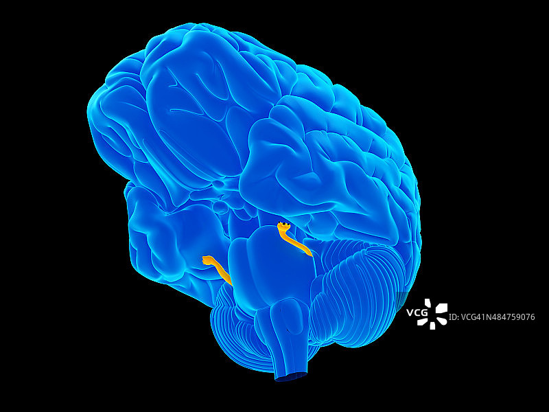 医疗图例图片素材