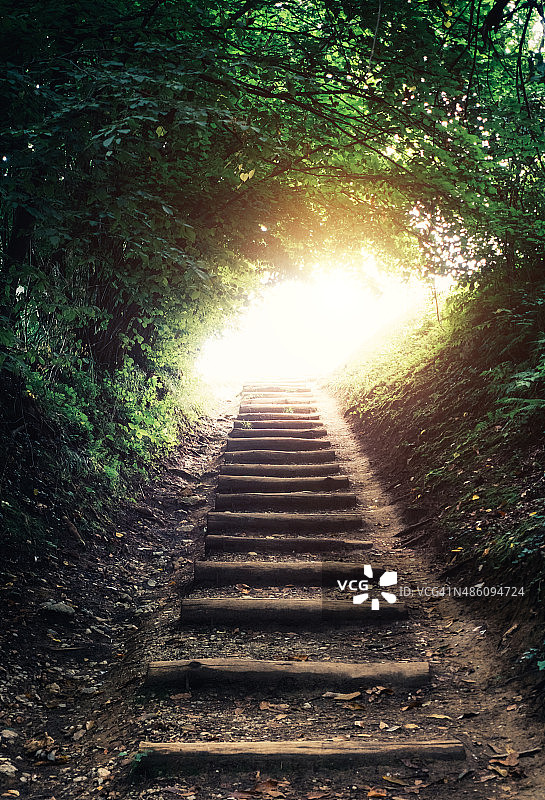 森林的路径图片素材