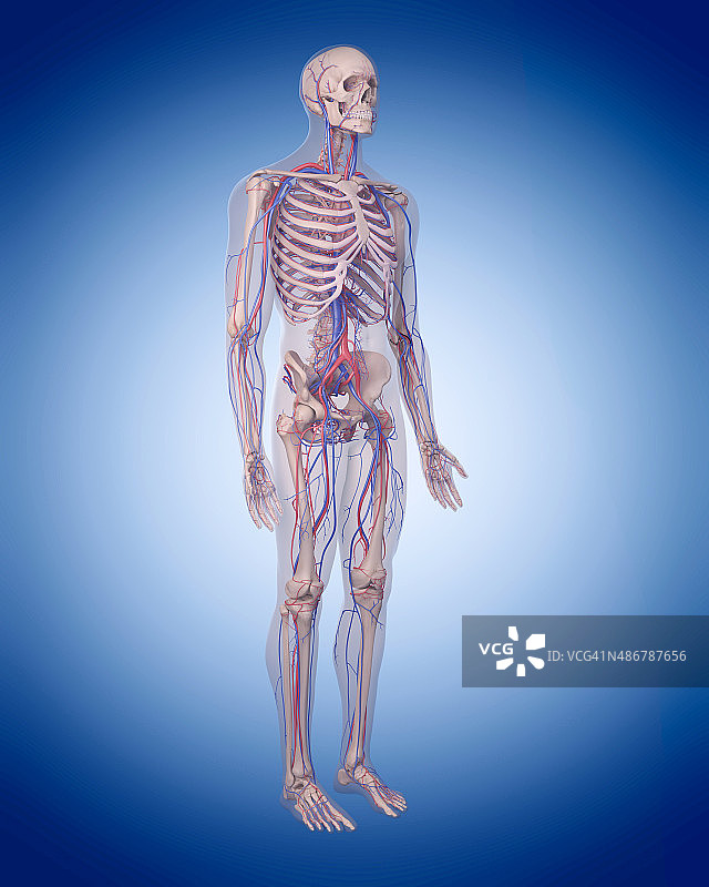 医疗插图图片素材