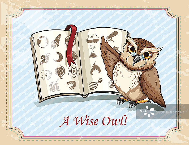 成语：智慧的猫头鹰图片素材