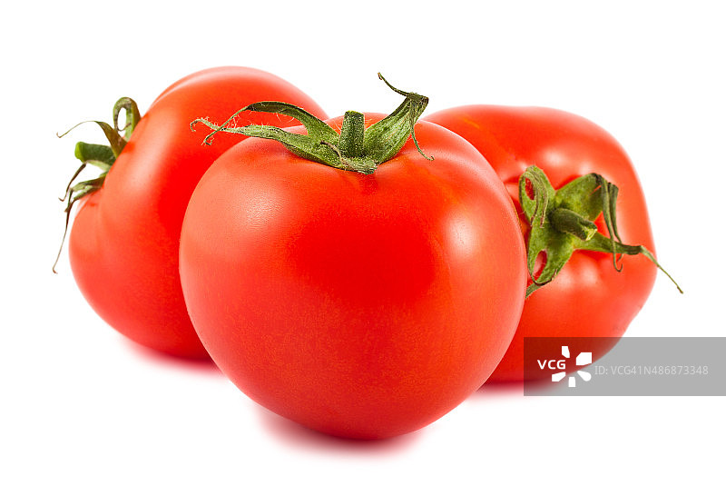 三个红色番茄图片素材