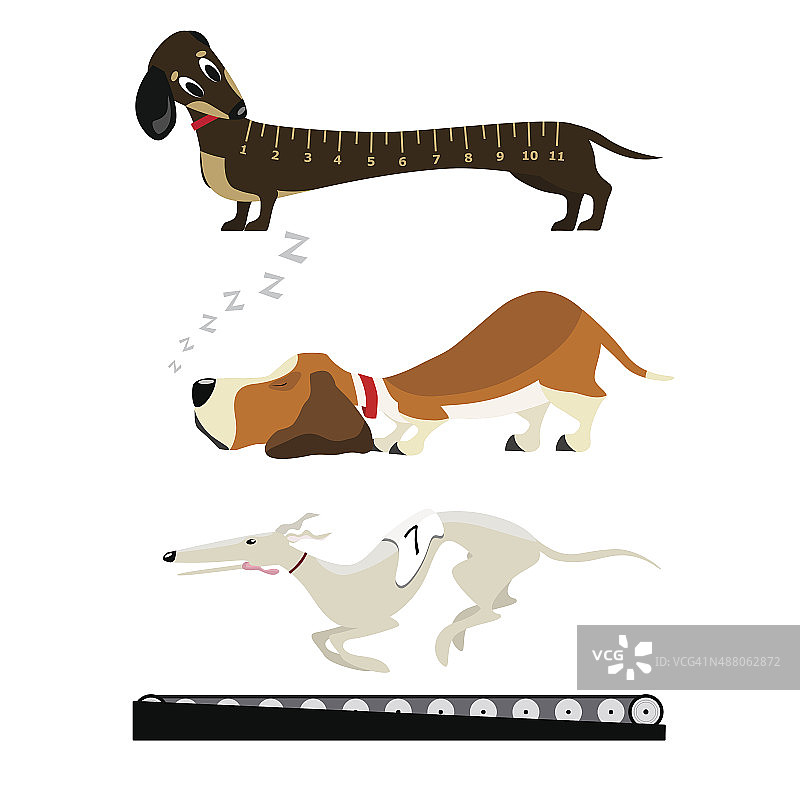 有趣的狗图片素材