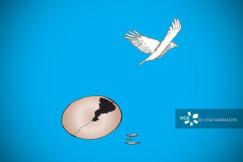 小鸟破壳而出的合成图像图片素材