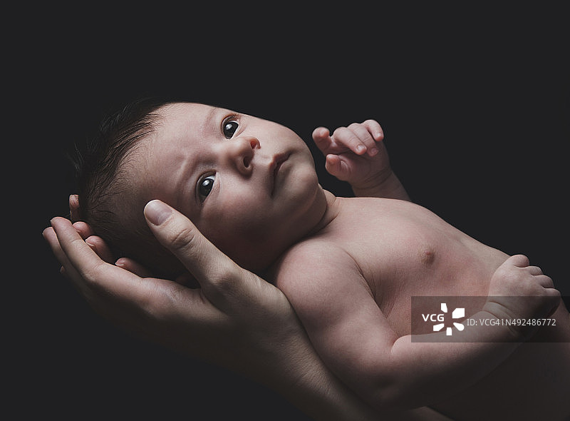 新生儿躺在父母手中图片素材
