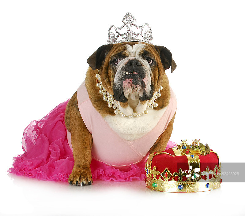 童话公主图片素材