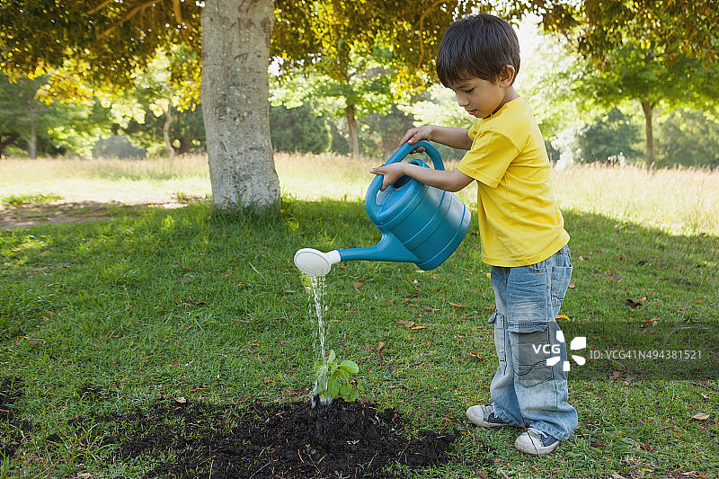 男孩在公园里给小植物浇水图片素材