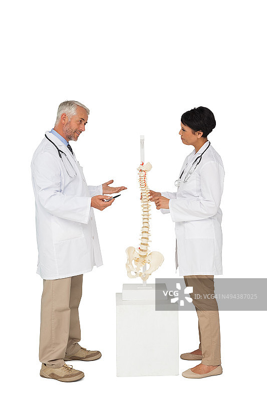 两位医生在骨骼模型旁讨论图片素材
