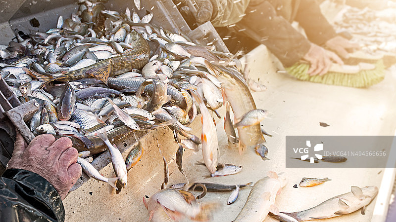 渔民捕鱼归来图片素材