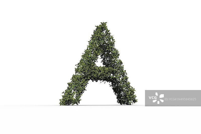 树叶组成的大写字母A图片素材
