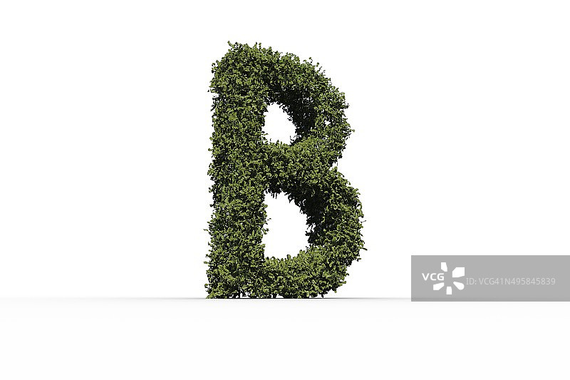 叶子组成的大写字母b图片素材