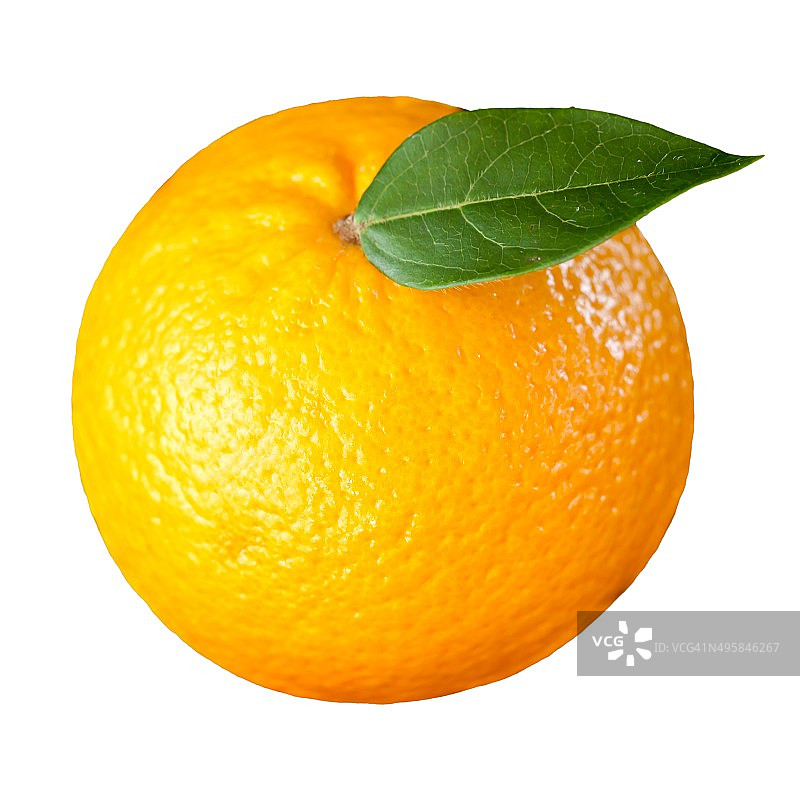 带有绿叶的橙子图片素材
