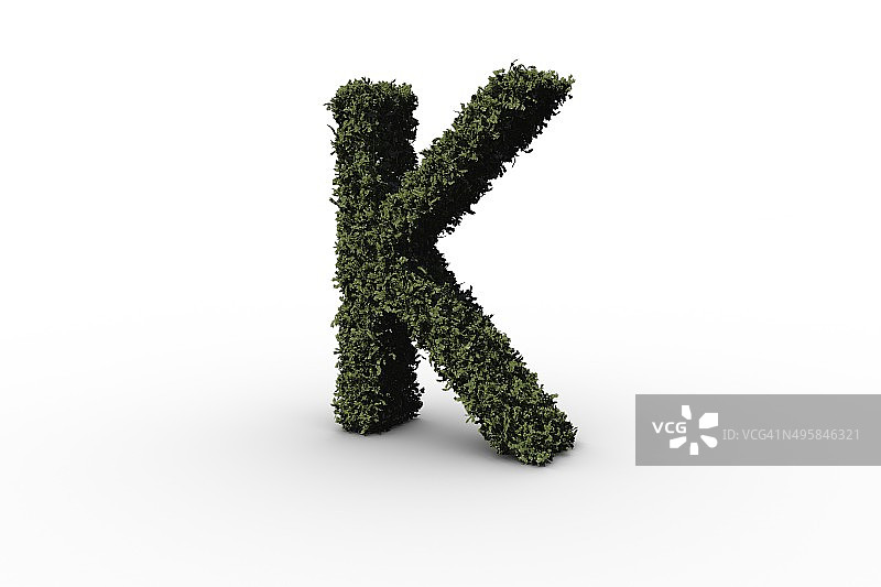 树叶制成的大写字母K图片素材