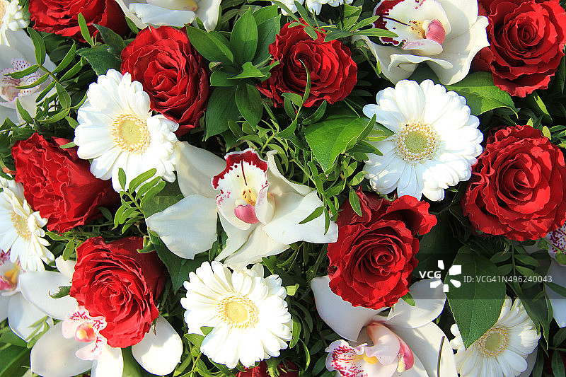 兰花、红玫瑰和白色非洲菊图片素材
