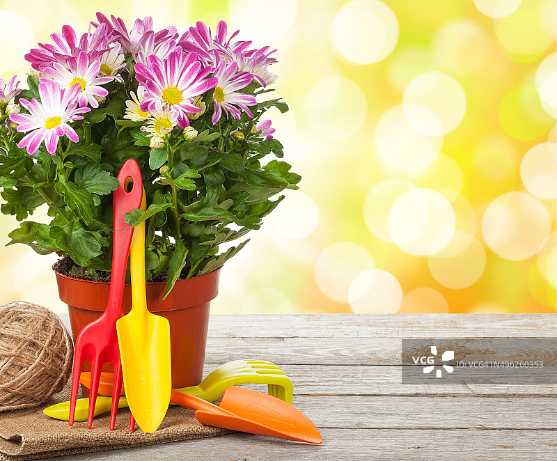 盆栽花卉和园艺工具图片素材